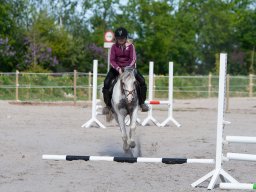 IMG_0477_web